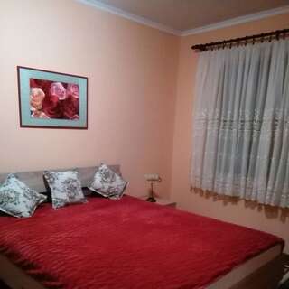 Апартаменты Guest House Lola Бар Апартаменты с видом на сад-14