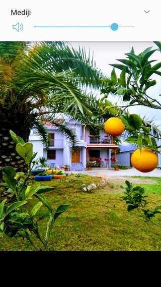 Апартаменты Guest House Lola Бар Апартаменты - 1-й этаж-5